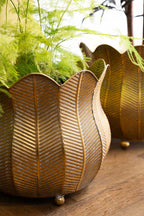 Set of 2 Rustic Petal Planters