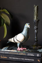 Quirky Pigeon Ornament