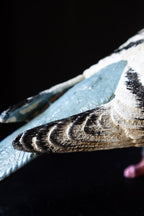 Quirky Pigeon Ornament