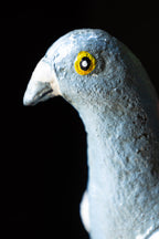 Quirky Pigeon Ornament
