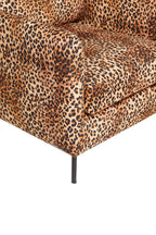 The Edie Leopard Print Armchair