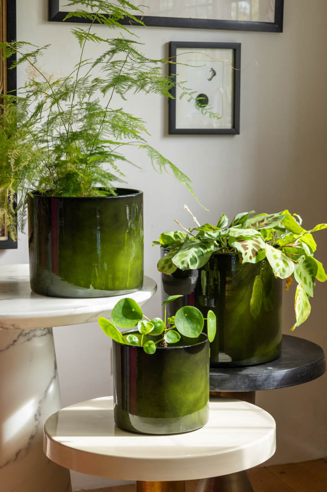 Vibrant Green Upcycled Steel Plant Pot - Available in 3 Sizes