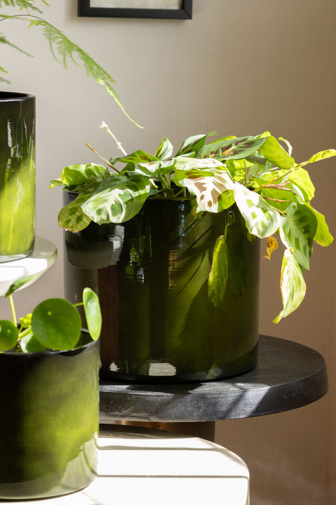 Vibrant Green Upcycled Steel Plant Pot - Available in 3 Sizes