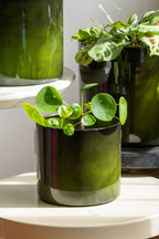 Vibrant Green Upcycled Steel Plant Pot - Available in 3 Sizes