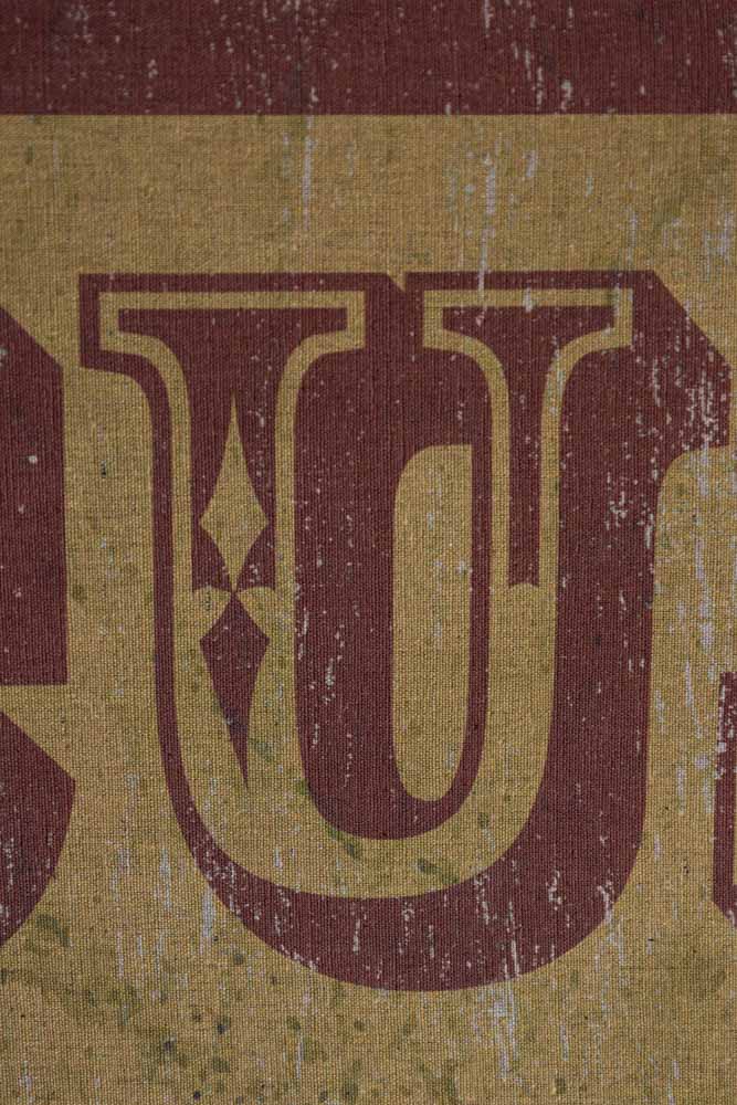 Vintage-Style Circus Wall Art