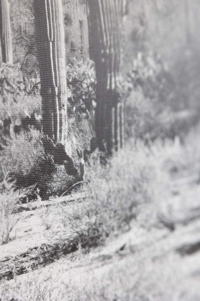 Wild West Cactus Art Print