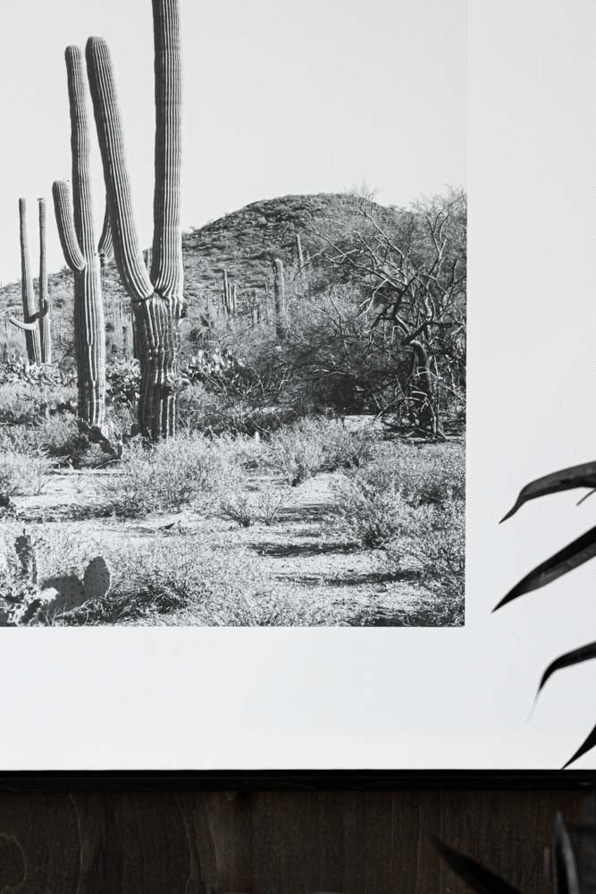 Wild West Cactus Art Print