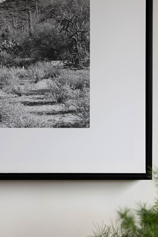 Wild West Cactus Art Print