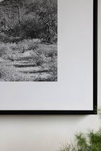 Wild West Cactus Art Print