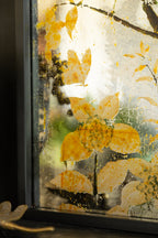 Beautiful Bird Wall Art Mirror