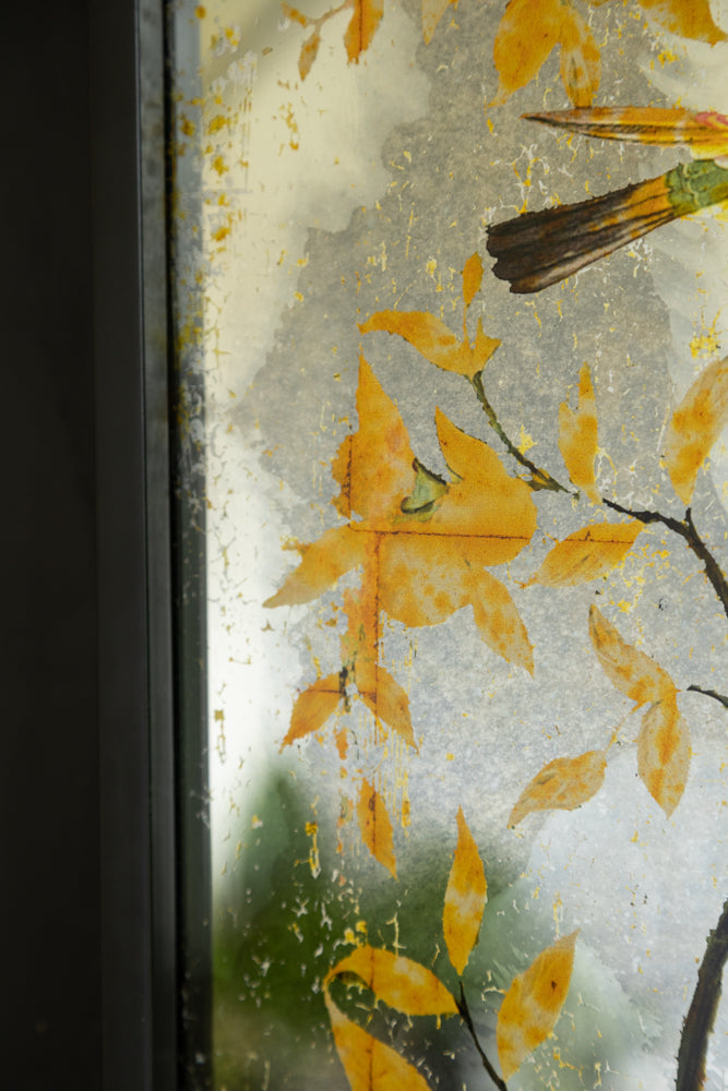 Beautiful Bird Wall Art Mirror