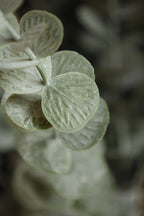 Rockett St George Faux Eucalyptus Plant In Pot