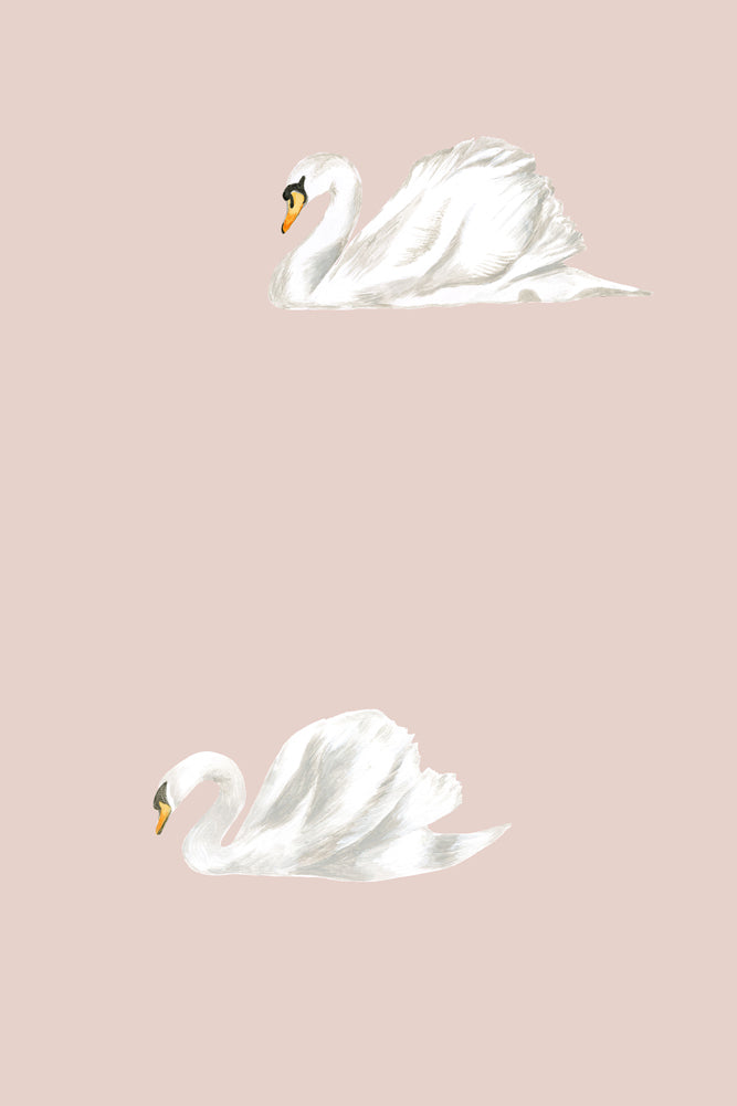 Stil Haven Baby Swan Wallpaper - DISCONTINUED
